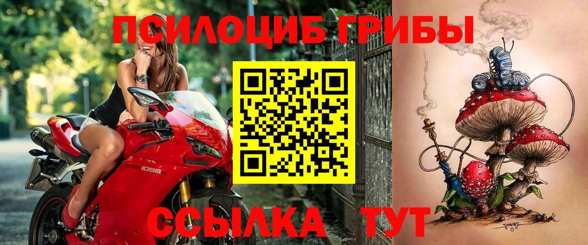 Галлюциногенные грибы мицелий Новодвинск