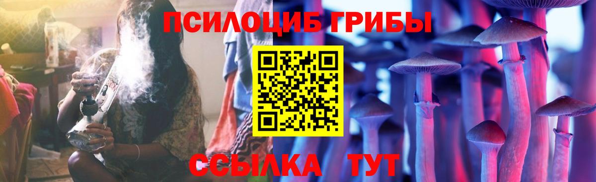 дарнет шоп  Псилоцибиновые грибы GOLDEN TEACHER  Вход с VPN  Новодвинск 